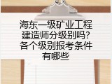 海东一级矿业工程建造师分级别吗？各个级别报考条件有哪些