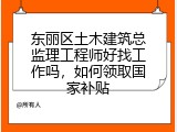东丽区土木建筑总监理工程师好找工作吗，如何领取国家补贴