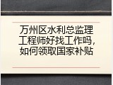 万州区水利总监理工程师好找工作吗，如何领取国家补贴