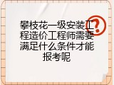 攀枝花一级安装工程造价工程师需要满足什么条件才能报考呢