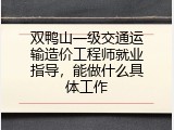 双鸭山一级交通运输造价工程师就业指导，能做什么具体工作