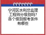 宁河区水利总监理工程师分级别吗？各个级别报考条件有哪些