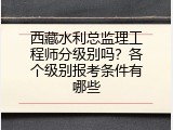 西藏水利总监理工程师分级别吗？各个级别报考条件有哪些