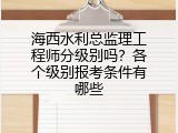 海西水利总监理工程师分级别吗？各个级别报考条件有哪些