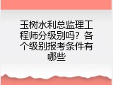 玉树水利总监理工程师分级别吗？各个级别报考条件有哪些
