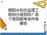 朝阳水利总监理工程师分级别吗？各个级别报考条件有哪些