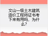 文山一级土木建筑造价工程师证书考下来有用吗，为什么？
