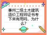 泰州二级土木建筑造价工程师证书考下来有用吗，为什么？