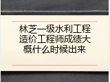 林芝一级水利工程造价工程师成绩大概什么时候出来