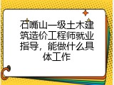 石嘴山一级土木建筑造价工程师就业指导，能做什么具体工作