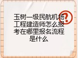 玉树一级民航机场工程建造师怎么报考在哪里报名流程是什么