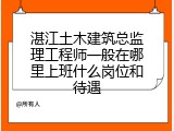湛江土木建筑总监理工程师一般在哪里上班什么岗位和待遇