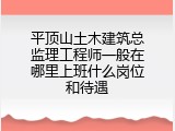 平顶山土木建筑总监理工程师一般在哪里上班什么岗位和待遇