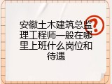 安徽土木建筑总监理工程师一般在哪里上班什么岗位和待遇