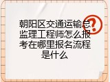 朝阳区交通运输总监理工程师怎么报考在哪里报名流程是什么