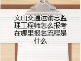 文山交通运输总监理工程师怎么报考在哪里报名流程是什么