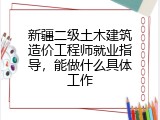 新疆二级土木建筑造价工程师就业指导，能做什么具体工作