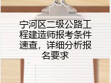 宁河区二级公路工程建造师报考条件速查，详细分析报名要求