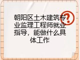 朝阳区土木建筑专业监理工程师就业指导，能做什么具体工作