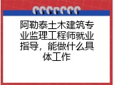 阿勒泰土木建筑专业监理工程师就业指导，能做什么具体工作