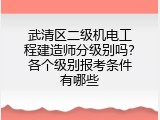 武清区二级机电工程建造师分级别吗？各个级别报考条件有哪些