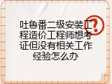 吐鲁番二级安装工程造价工程师想考证但没有相关工作经验怎么办
