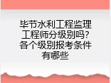 毕节水利工程监理工程师分级别吗？各个级别报考条件有哪些