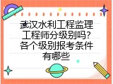 武汉水利工程监理工程师分级别吗？各个级别报考条件有哪些