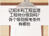 辽阳水利工程监理工程师分级别吗？各个级别报考条件有哪些