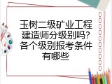 玉树二级矿业工程建造师分级别吗？各个级别报考条件有哪些