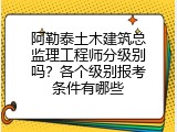 阿勒泰土木建筑总监理工程师分级别吗？各个级别报考条件有哪些