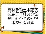 锡林郭勒土木建筑总监理工程师分级别吗？各个级别报考条件有哪些