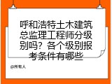 呼和浩特土木建筑总监理工程师分级别吗？各个级别报考条件有哪些
