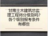 甘南土木建筑总监理工程师分级别吗？各个级别报考条件有哪些