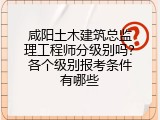 咸阳土木建筑总监理工程师分级别吗？各个级别报考条件有哪些