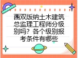 西双版纳土木建筑总监理工程师分级别吗？各个级别报考条件有哪些
