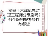孝感土木建筑总监理工程师分级别吗？各个级别报考条件有哪些