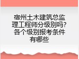 宿州土木建筑总监理工程师分级别吗？各个级别报考条件有哪些