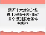 黑河土木建筑总监理工程师分级别吗？各个级别报考条件有哪些