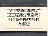 汉中交通运输总监理工程师分级别吗？各个级别报考条件有哪些