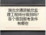 湖北交通运输总监理工程师分级别吗？各个级别报考条件有哪些