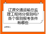 辽源交通运输总监理工程师分级别吗？各个级别报考条件有哪些