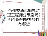 忻州交通运输总监理工程师分级别吗？各个级别报考条件有哪些