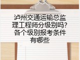 泸州交通运输总监理工程师分级别吗？各个级别报考条件有哪些