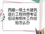 西藏一级土木建筑造价工程师想考证但没有相关工作经验怎么办