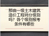 那曲一级土木建筑造价工程师分级别吗？各个级别报考条件有哪些