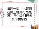 昭通一级土木建筑造价工程师分级别吗？各个级别报考条件有哪些