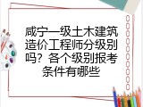 咸宁一级土木建筑造价工程师分级别吗？各个级别报考条件有哪些