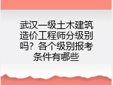 武汉一级土木建筑造价工程师分级别吗？各个级别报考条件有哪些