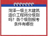 菏泽一级土木建筑造价工程师分级别吗？各个级别报考条件有哪些